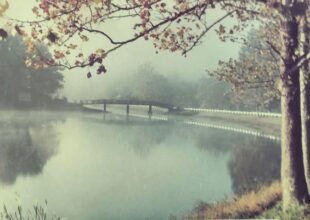 Thumbnail for the post titled: Hometown History:  Lake Alma was once home to an island amusement park